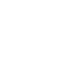 Kierroksen vaihe 1: Strategiapalaveri ja nopanheitot