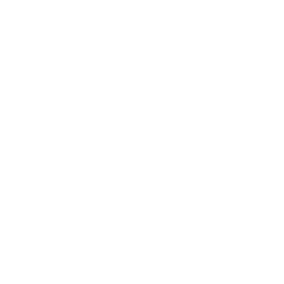 Turn Overview